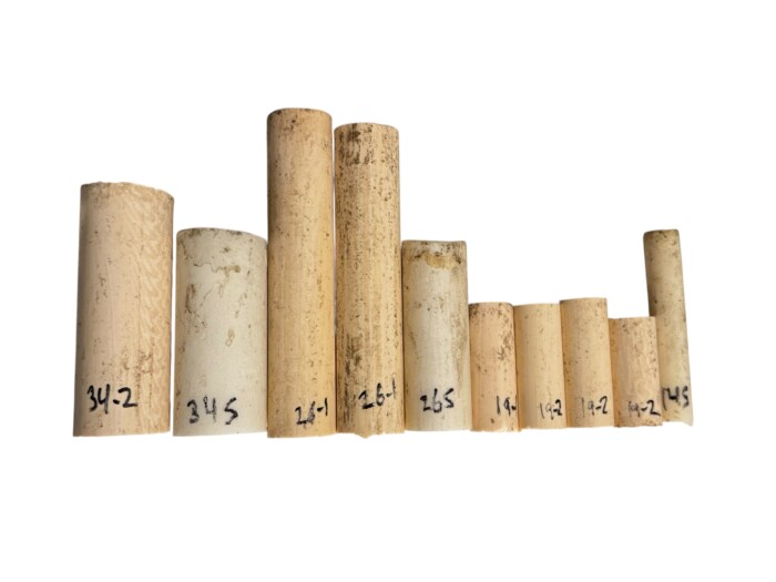 Imitation Ivory Cutoffs 1.75"-4.75" lengths