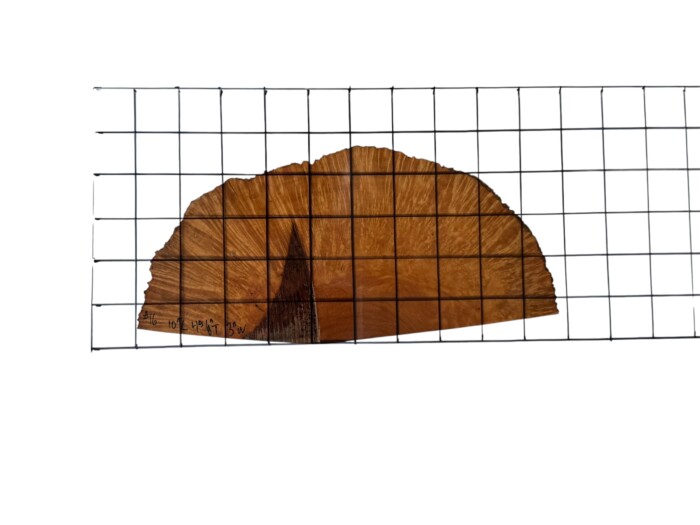 Briar #16 - Image 2