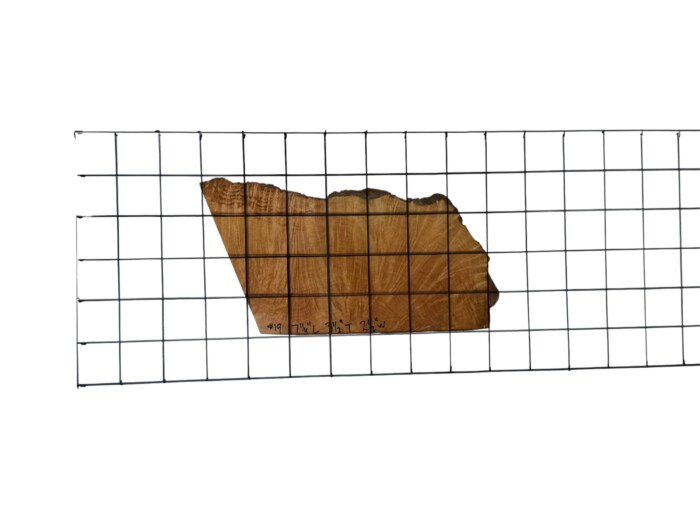 Briar #19 - Image 2