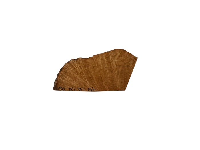 Briar #20