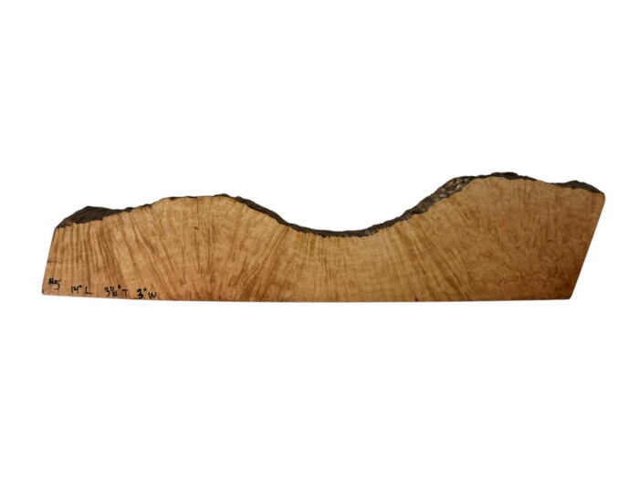 Briar #5