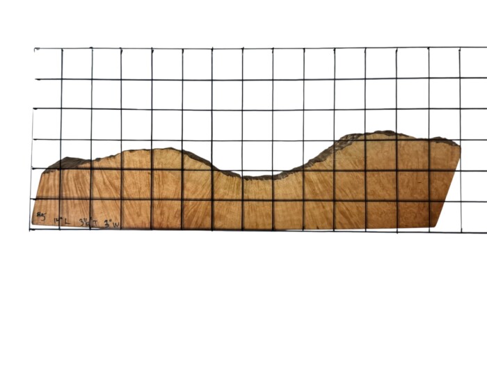 Briar #5 - Image 2