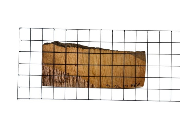 Briar #7 - Image 2