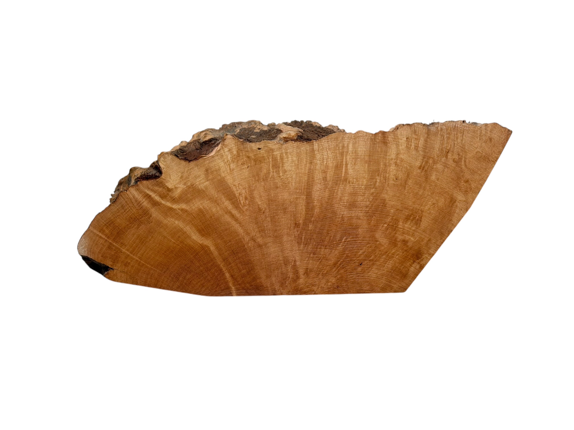 Briar #19 - Image 2