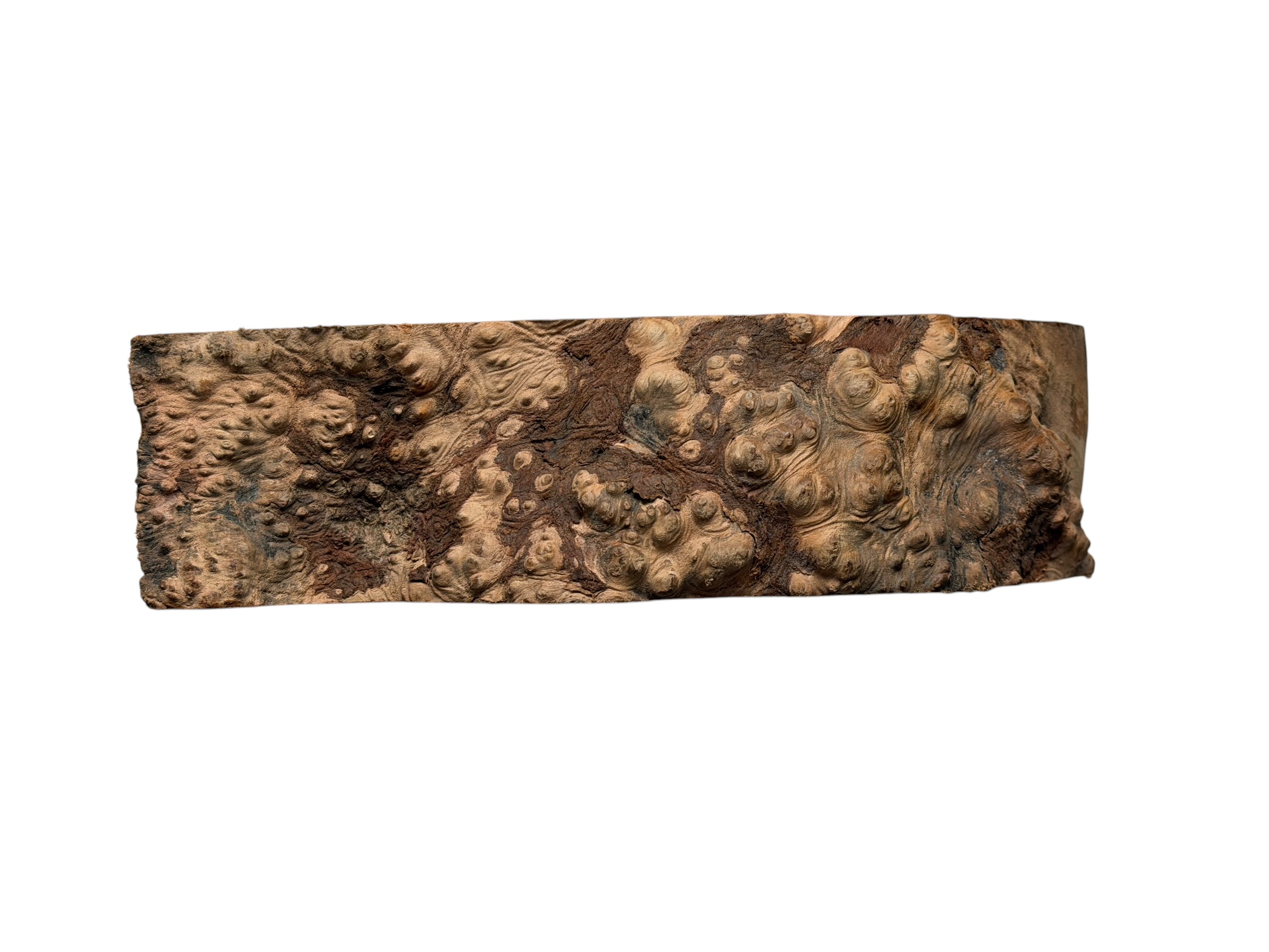 Briar #19 - Image 4