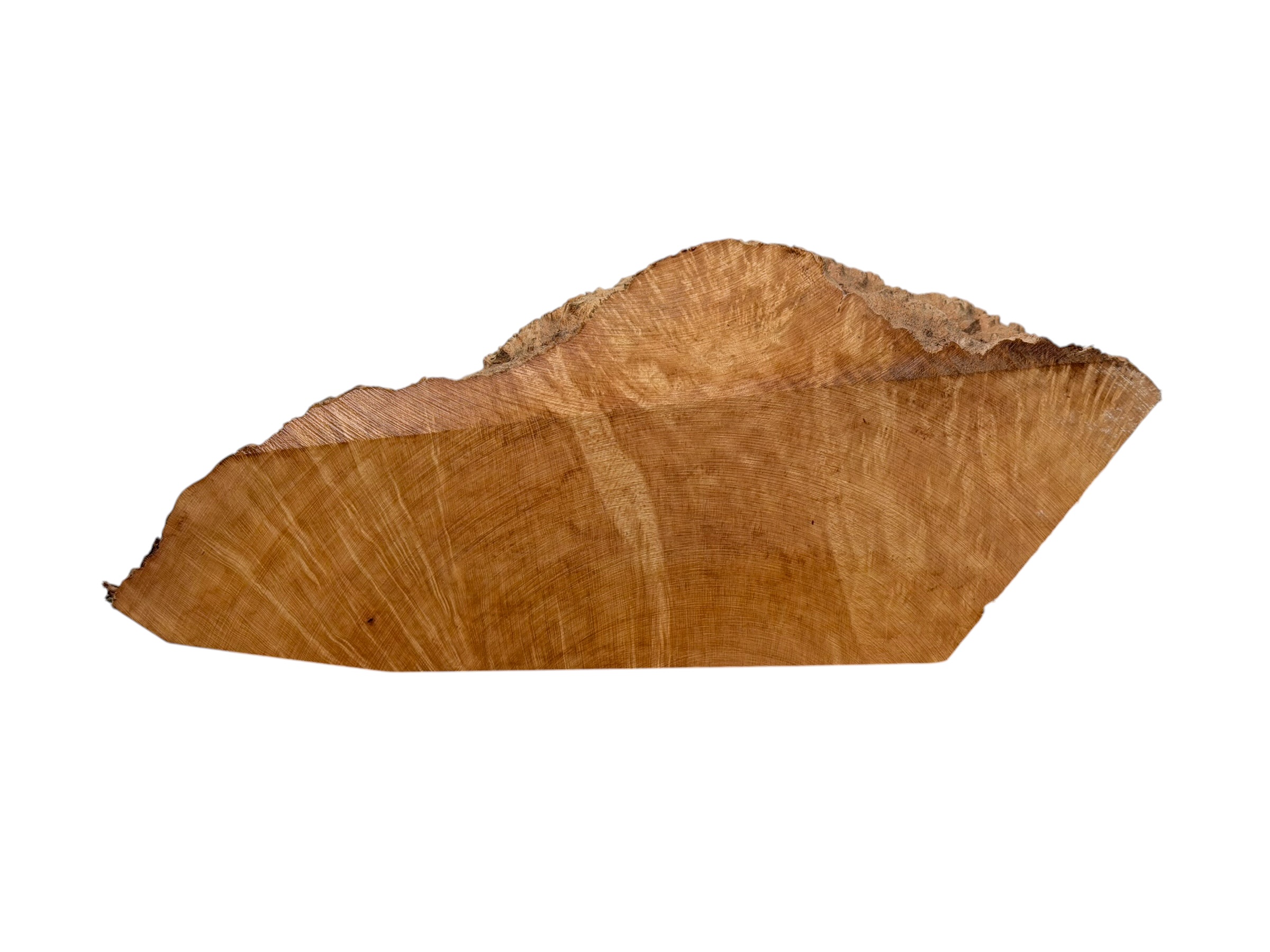 Briar #20 - Image 2