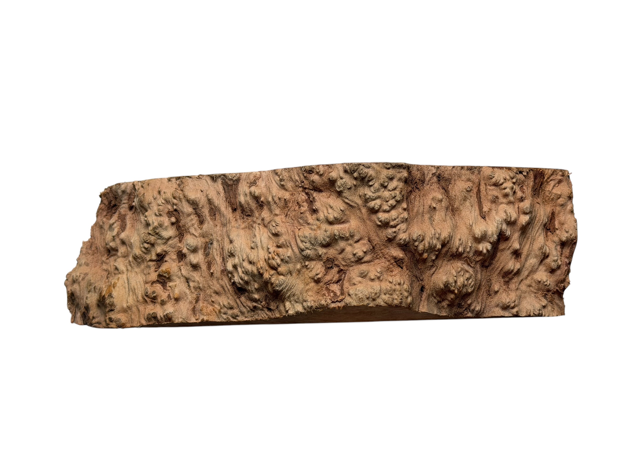 Briar #20 - Image 4