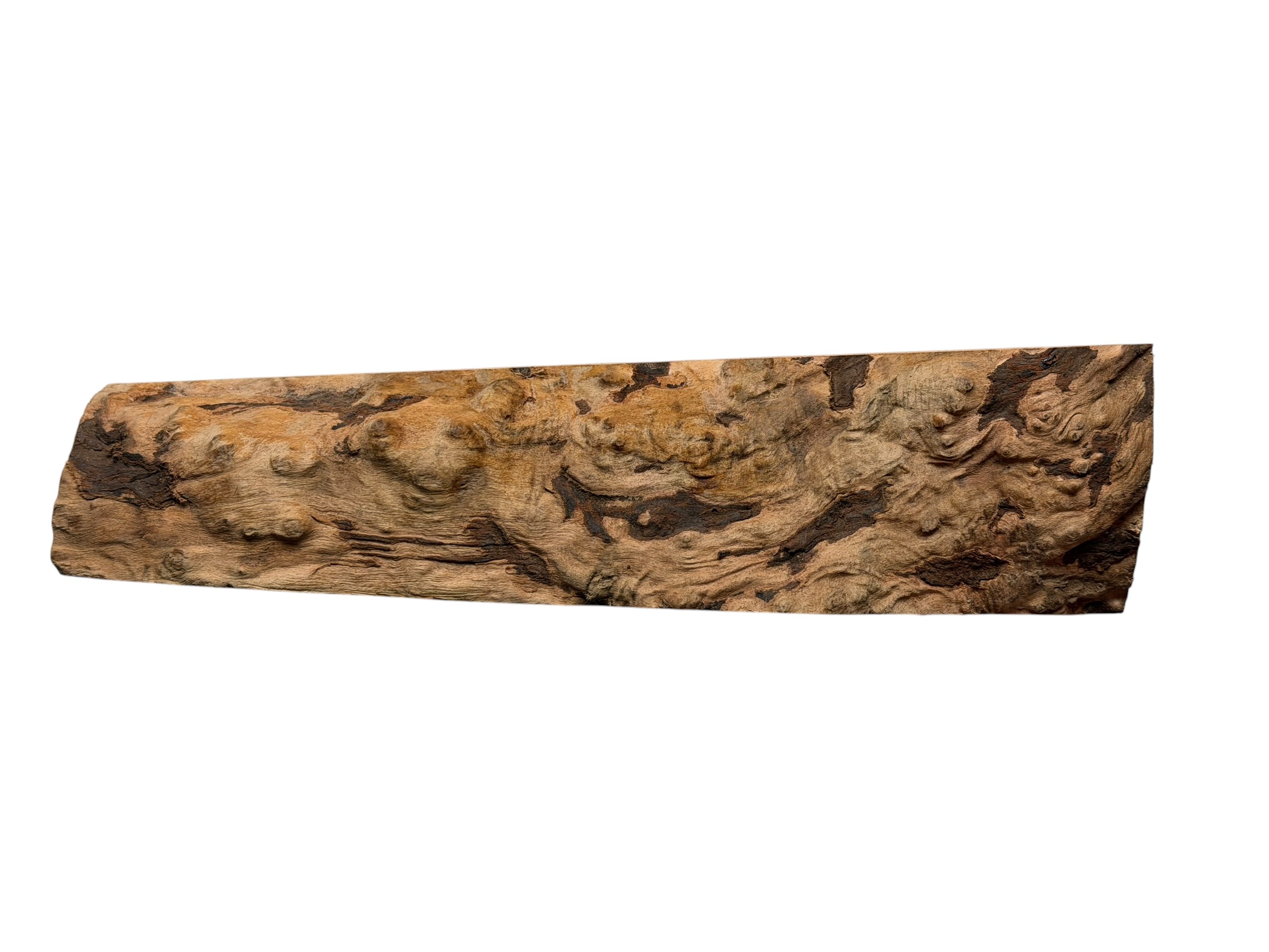 Briar #21 - Image 4
