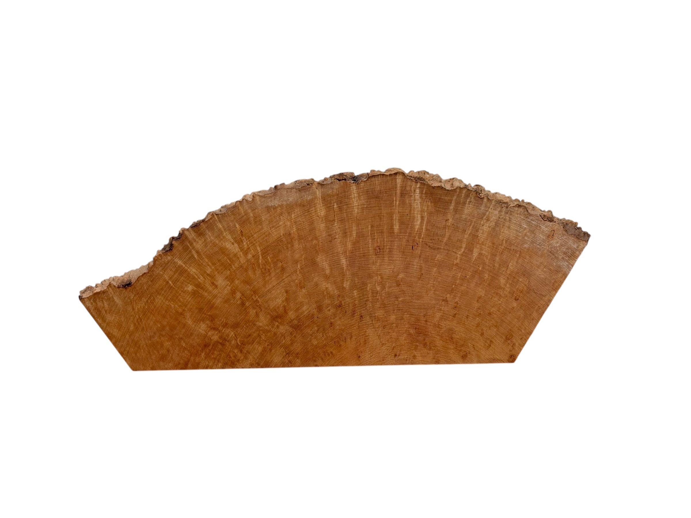 Briar #22 - Image 2