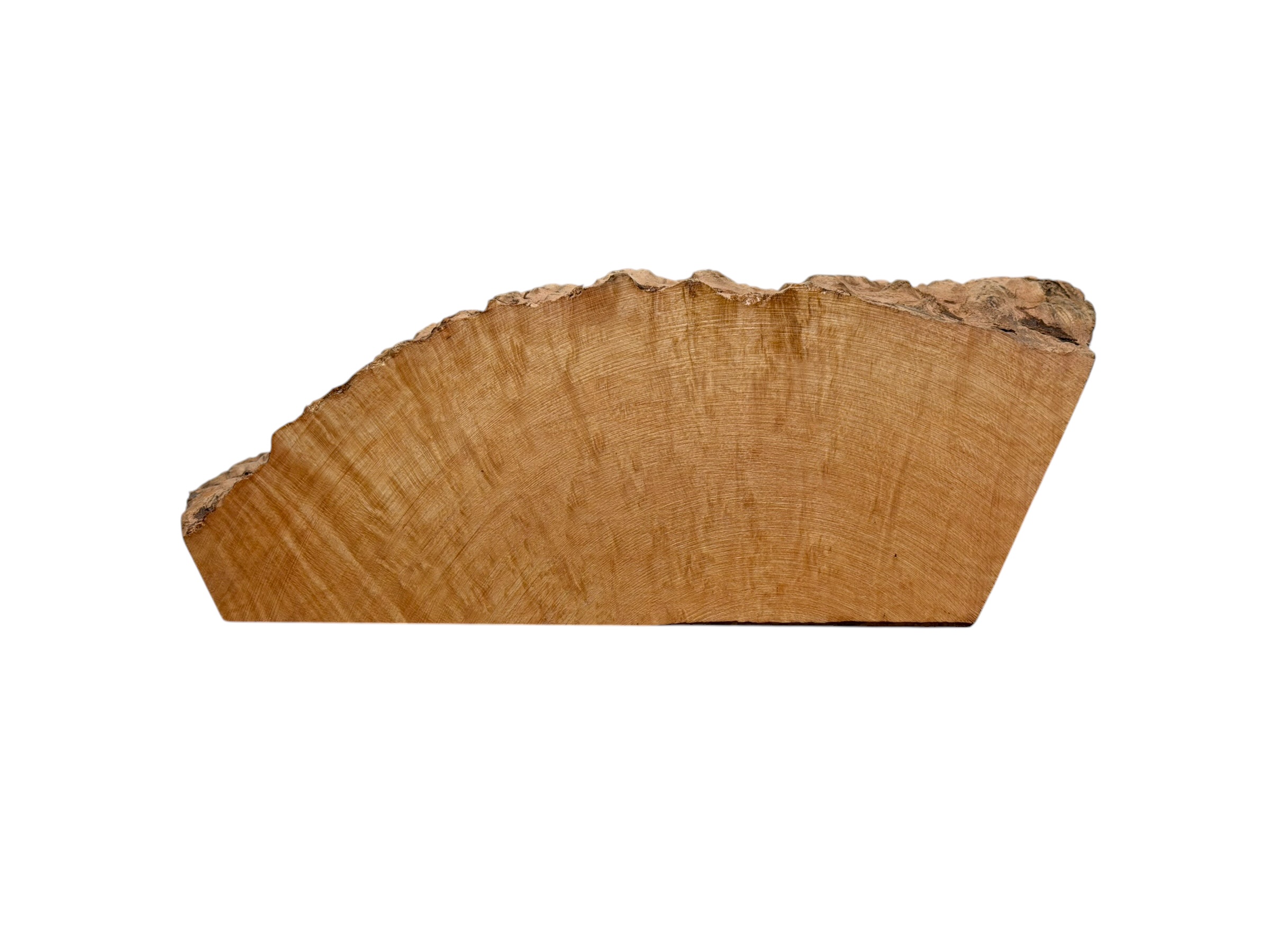 Briar #23 - Image 2