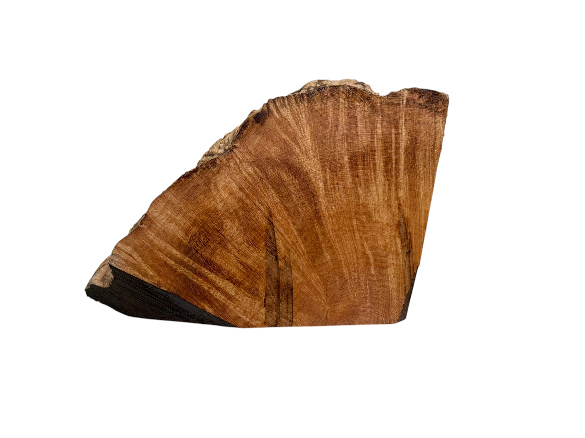 Briar #24 - Image 2