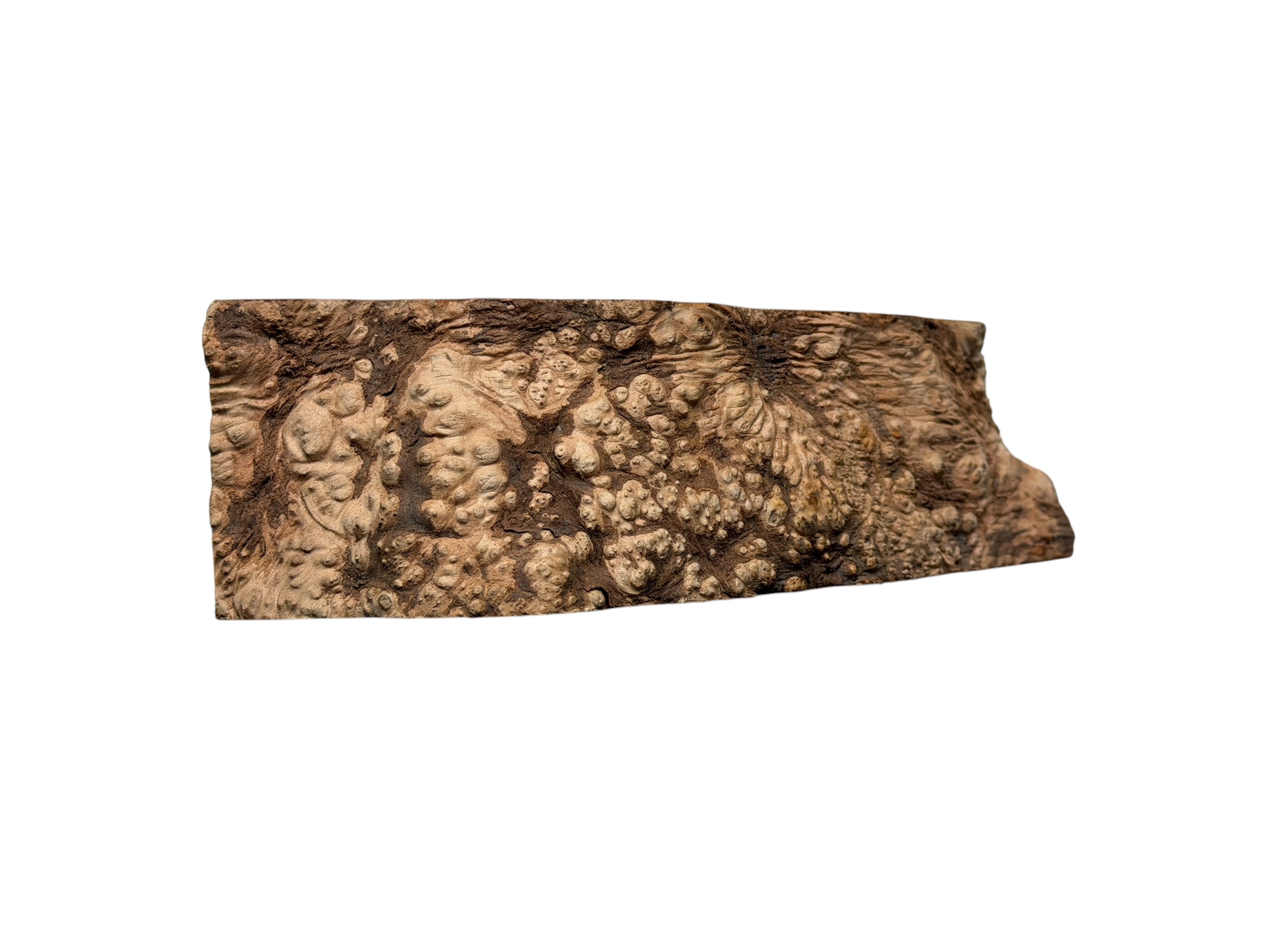 Briar #24 - Image 4