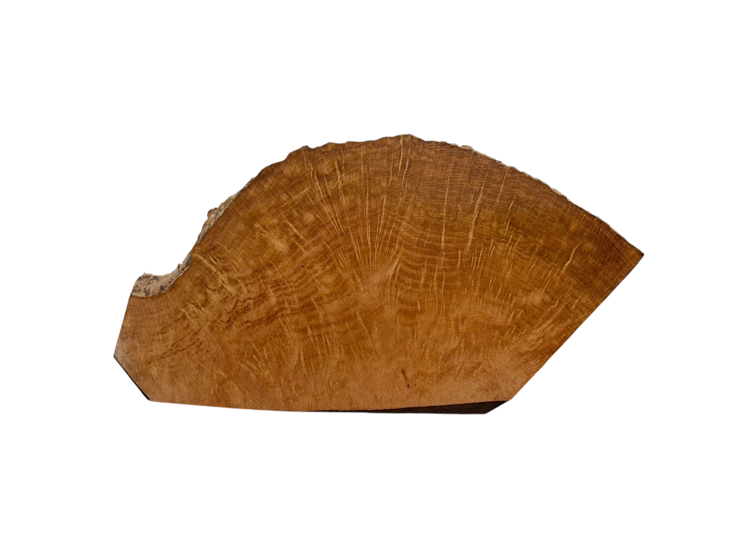 Briar #26 - Image 2