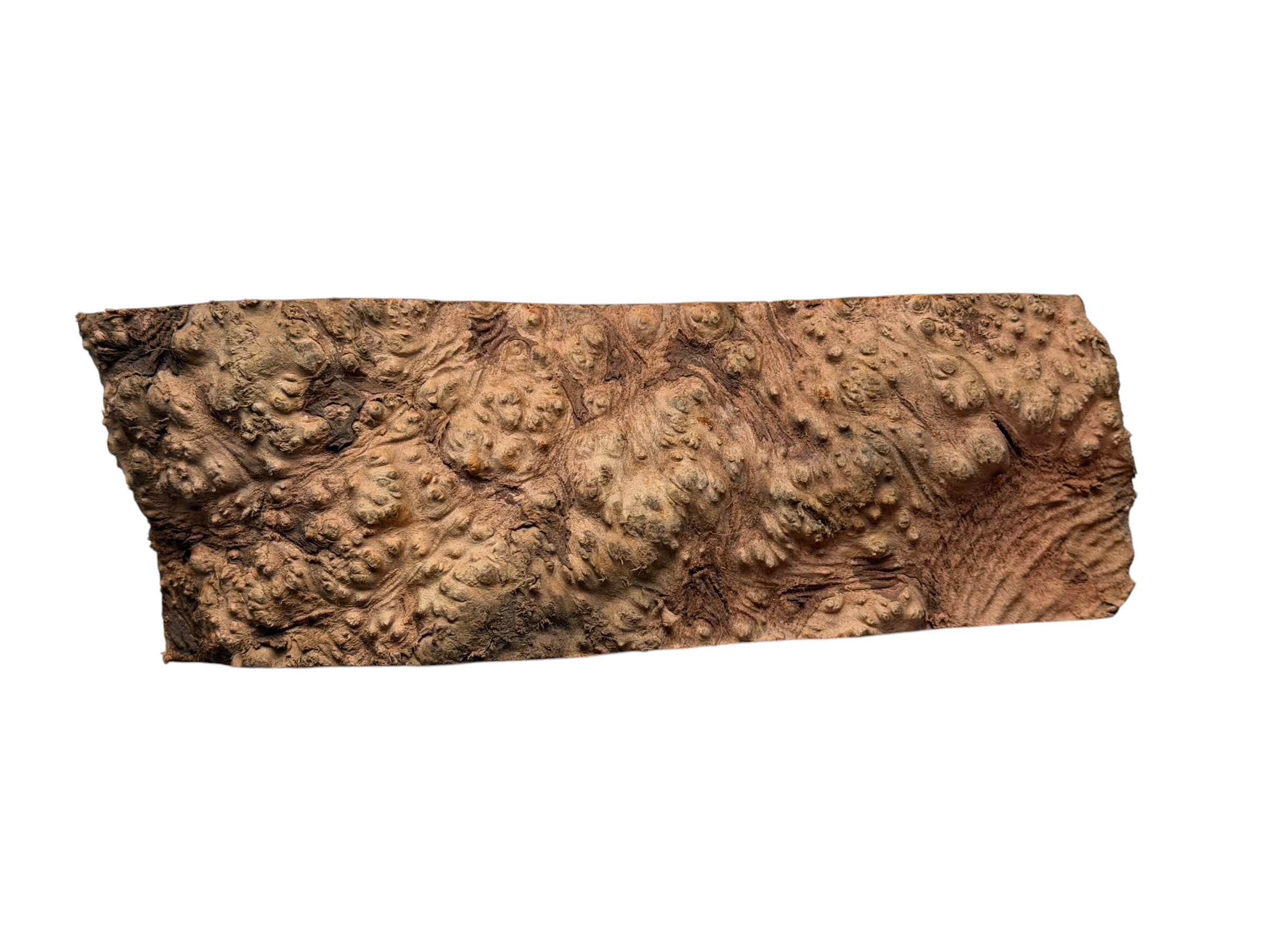 Briar #28 - Image 4
