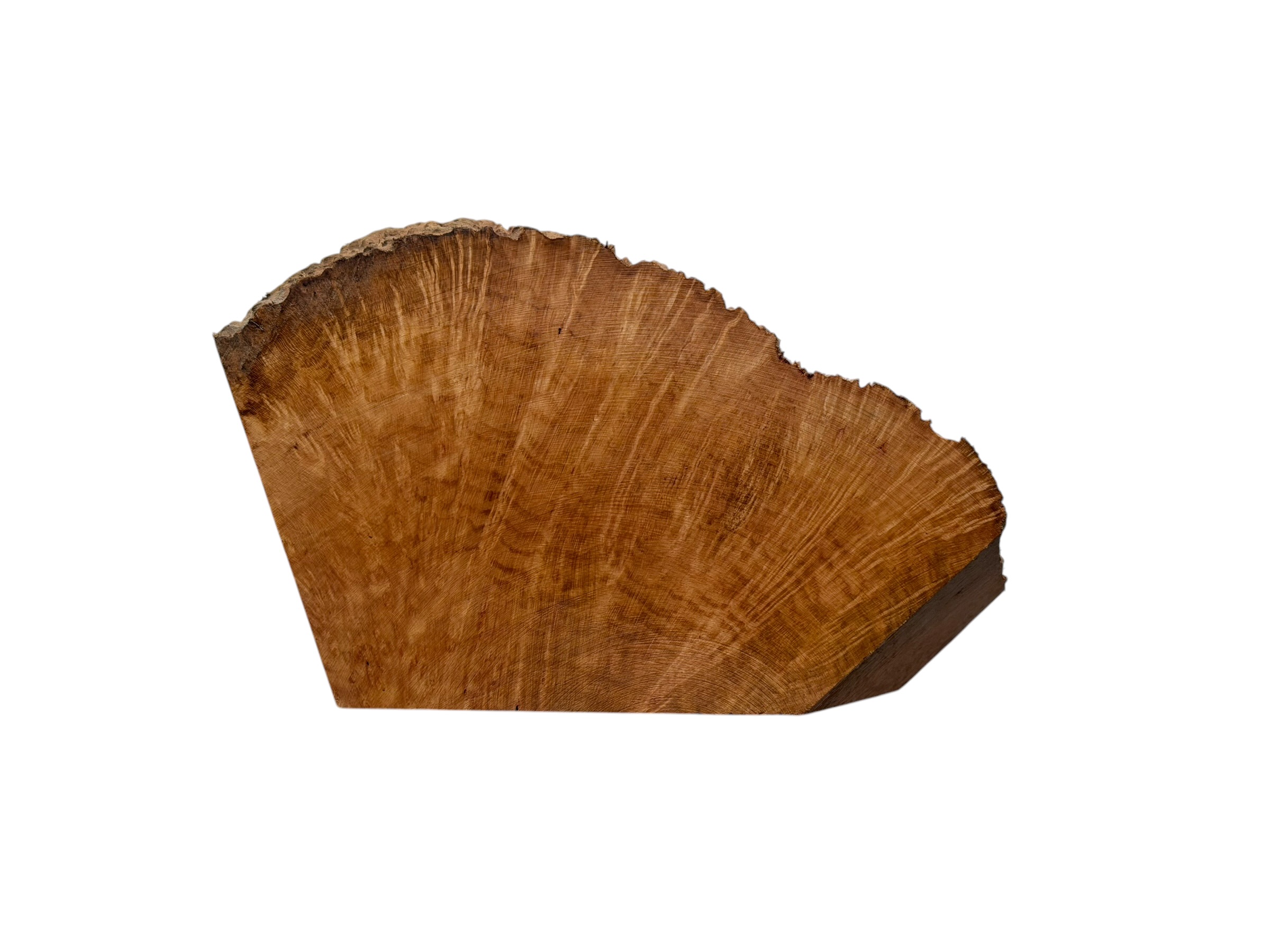 Briar #31