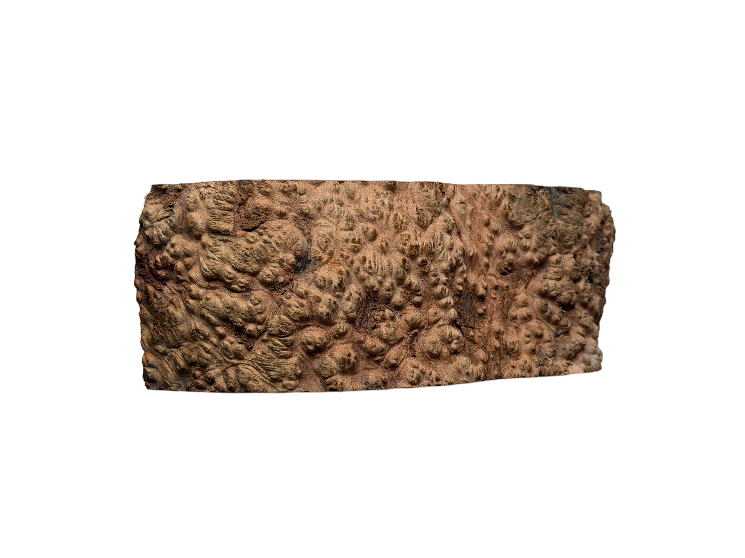 Briar #31 - Image 4