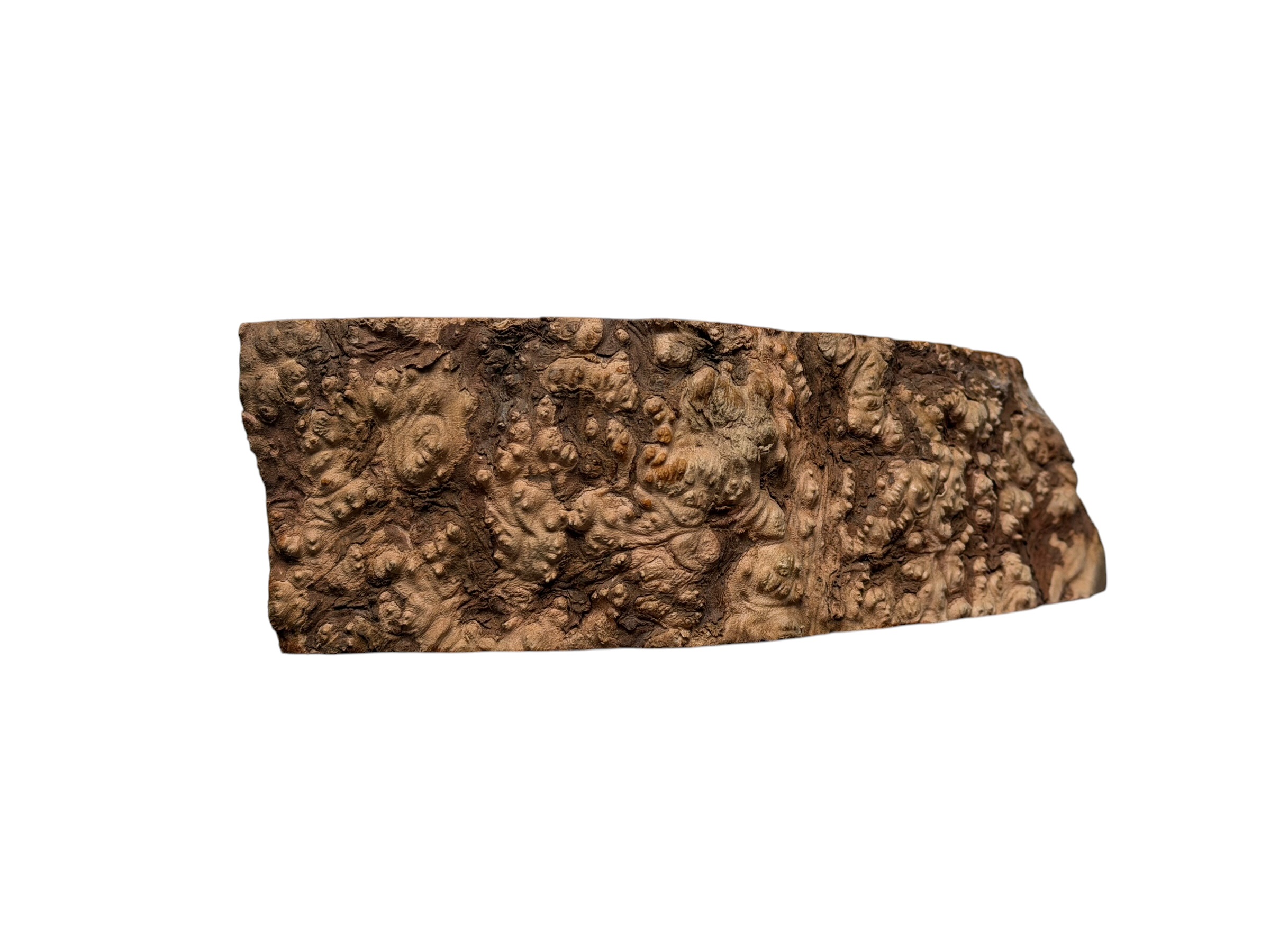Briar #33 - Image 4