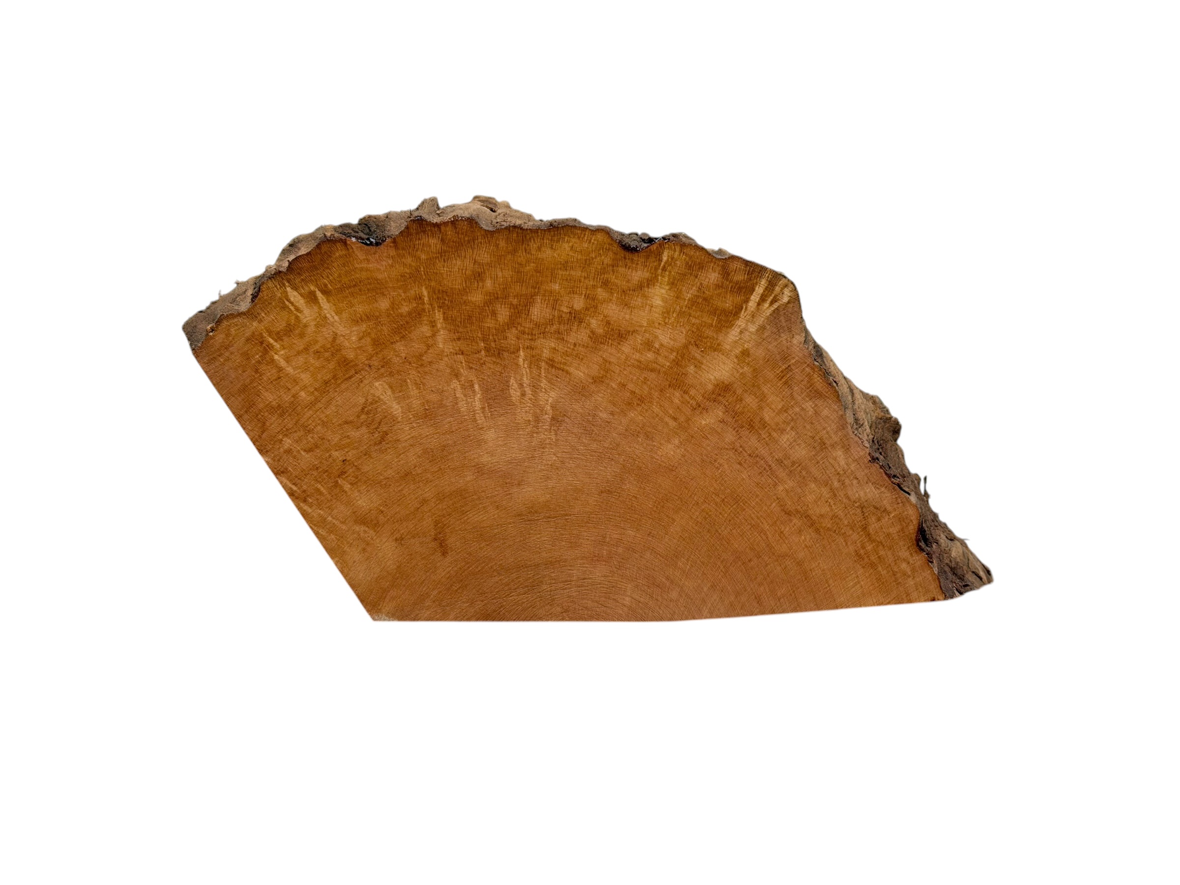 Briar #34