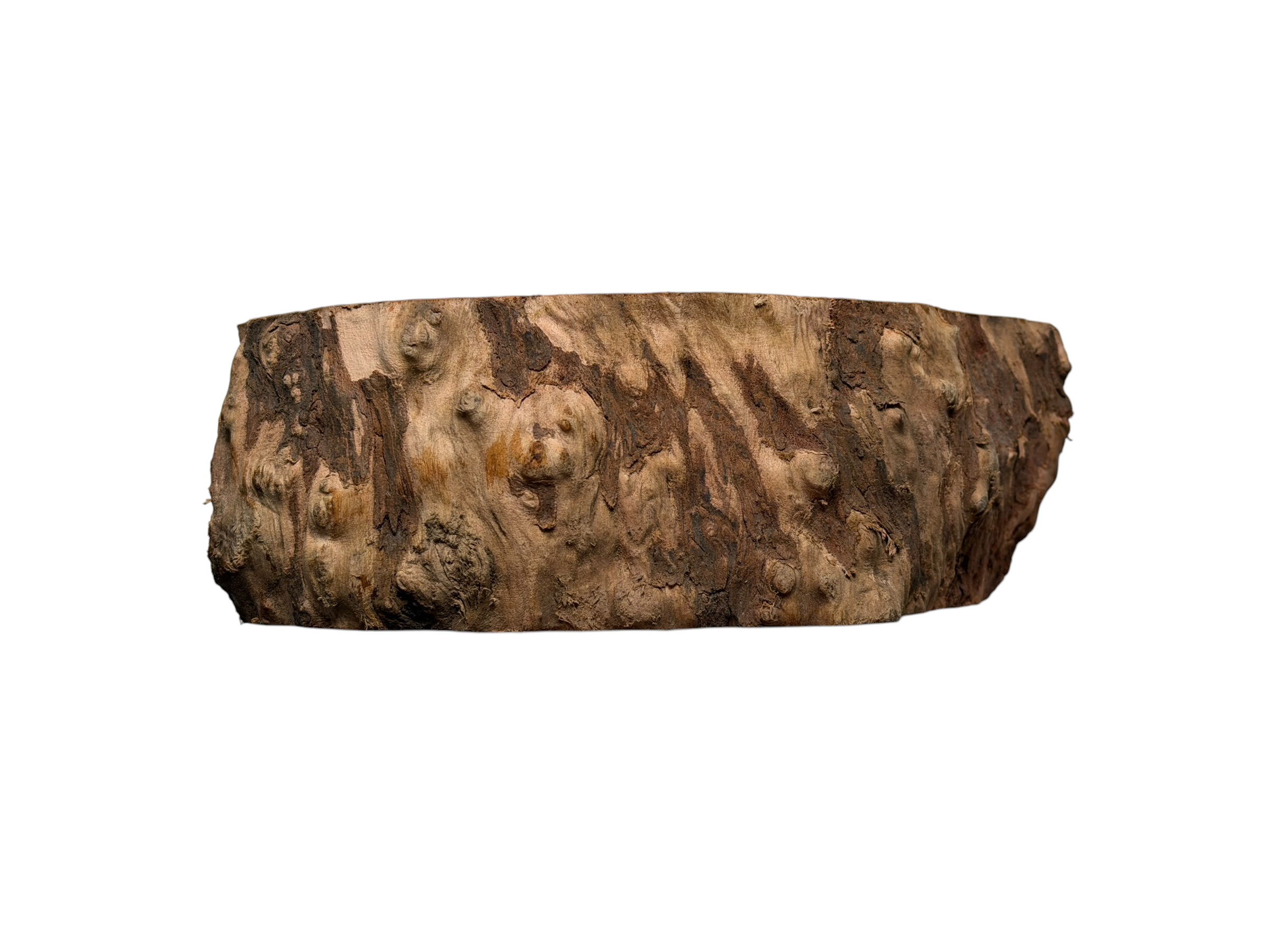 Briar #34 - Image 4