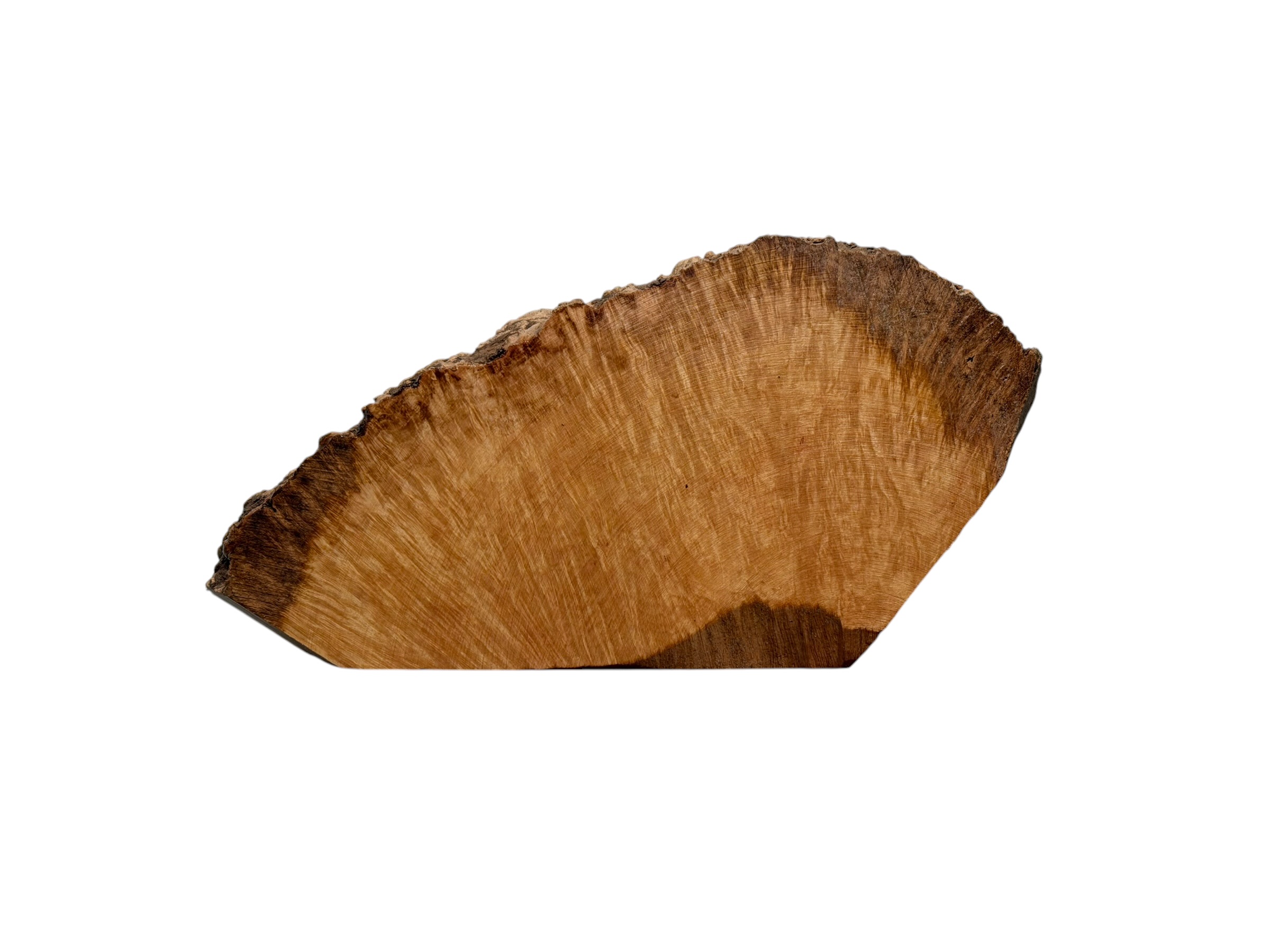 Briar #35
