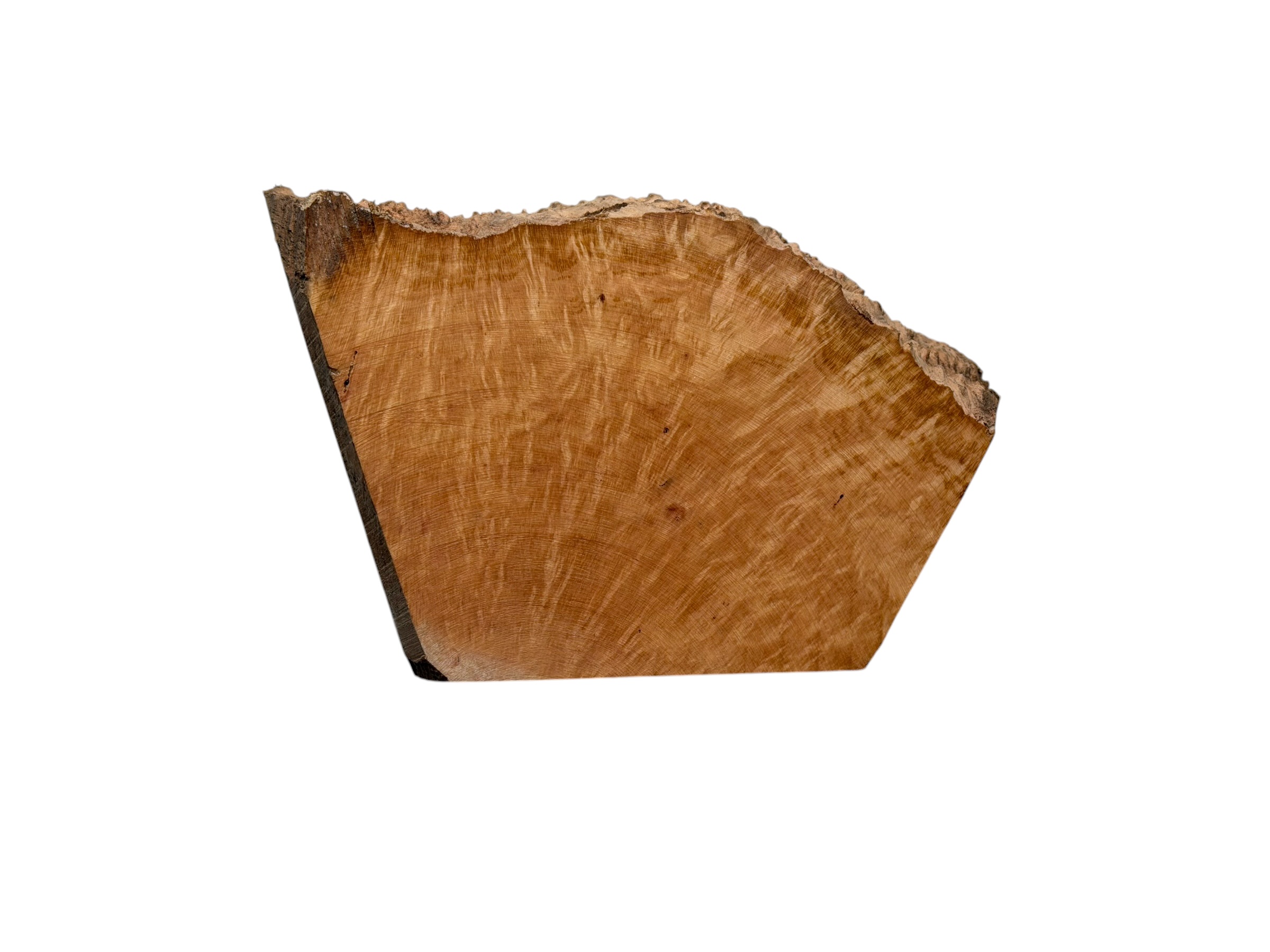Briar #36