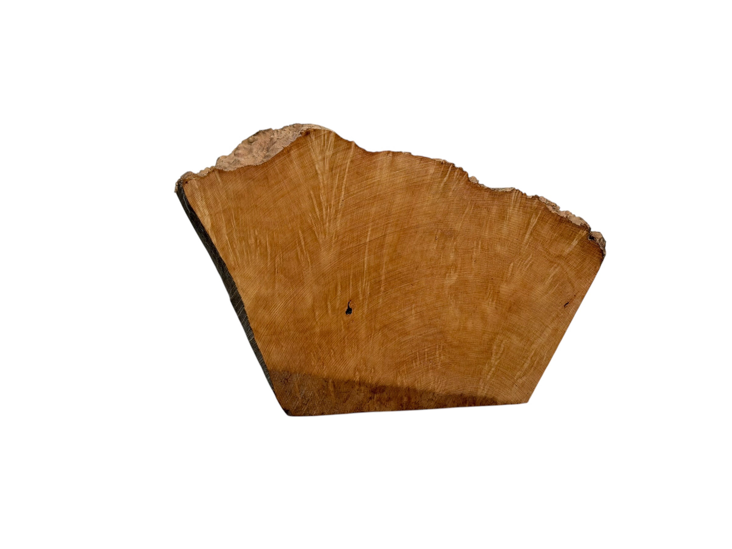 Briar #37