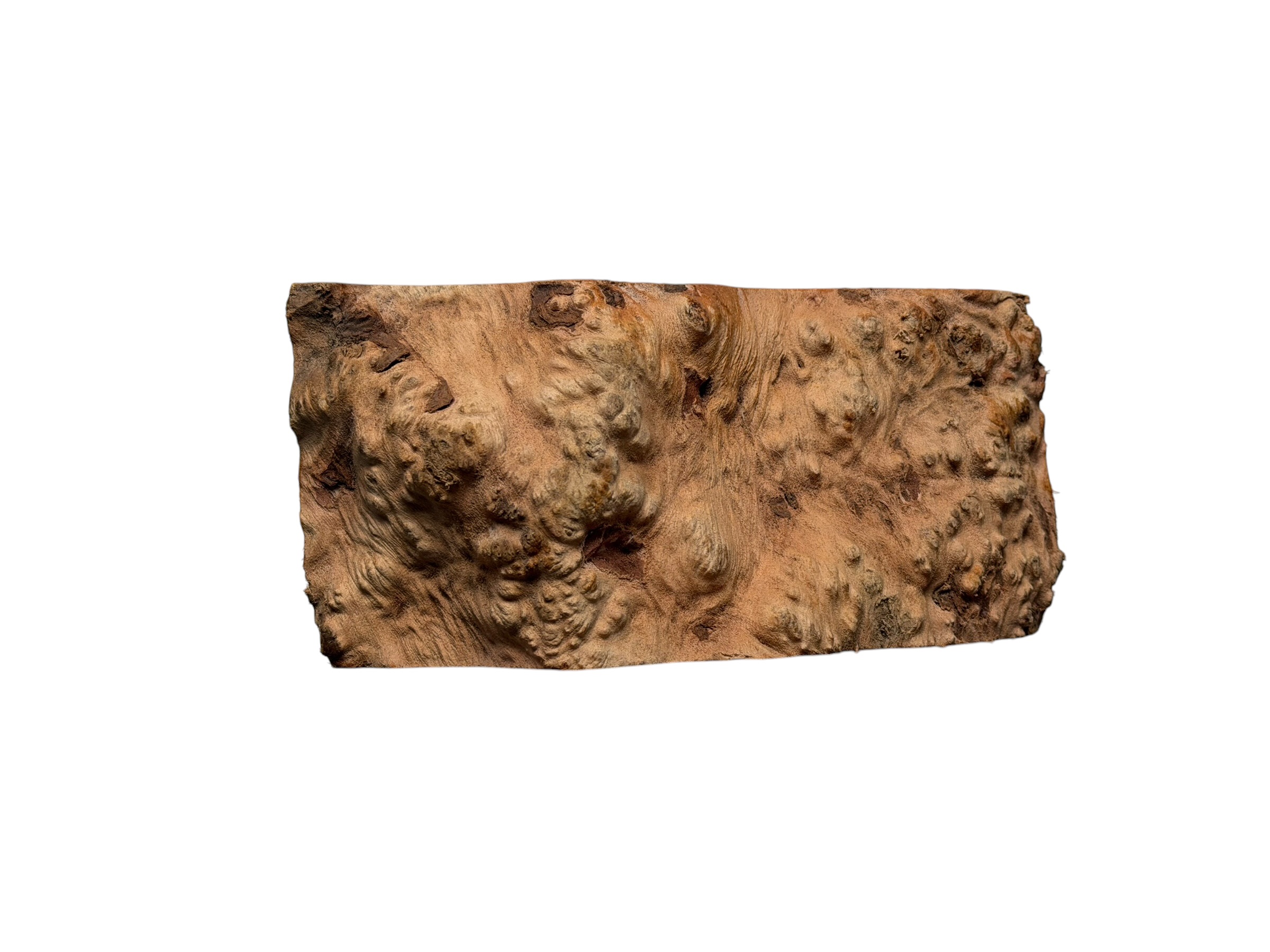 Briar #37 - Image 4