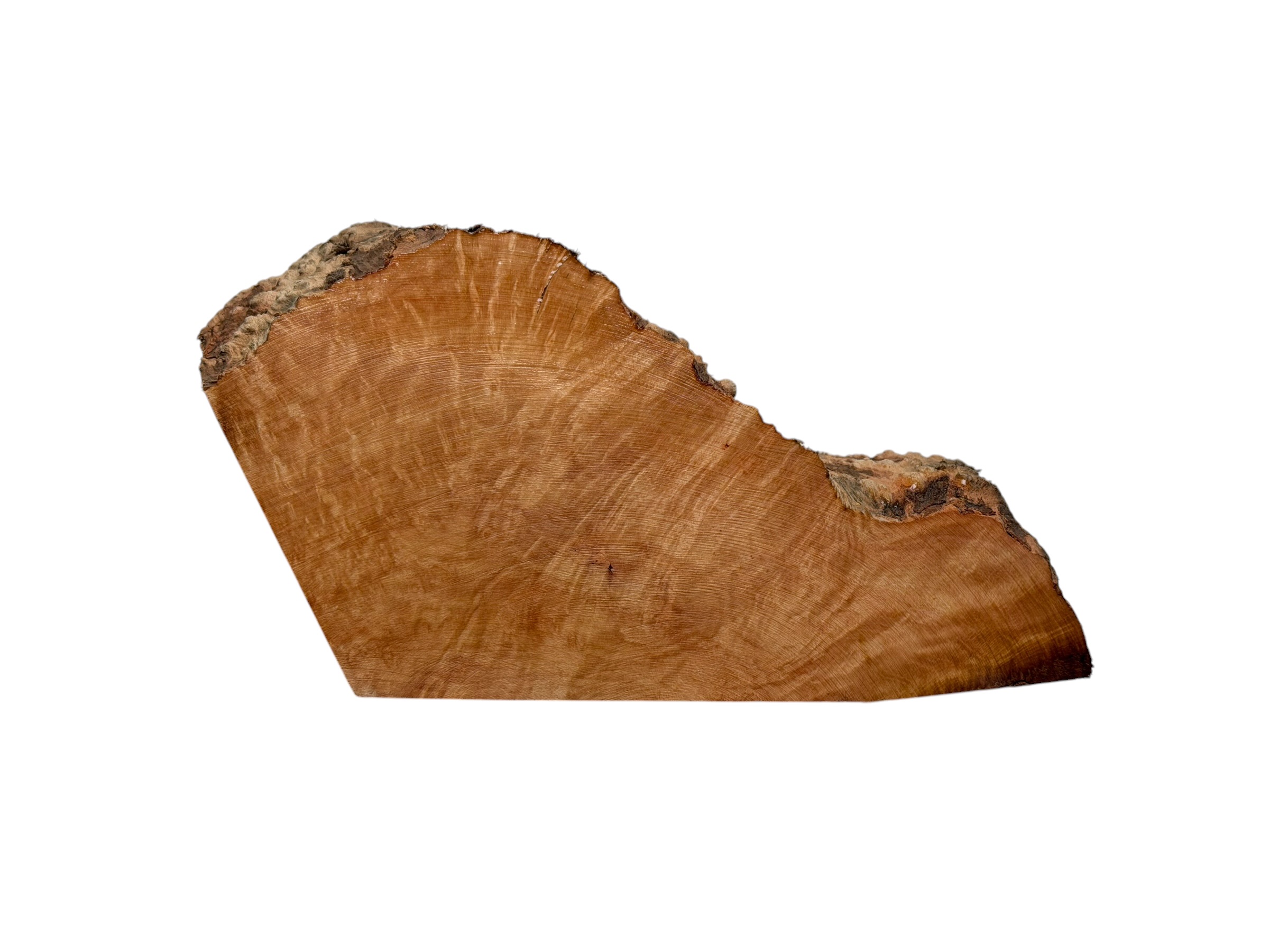 Briar #38