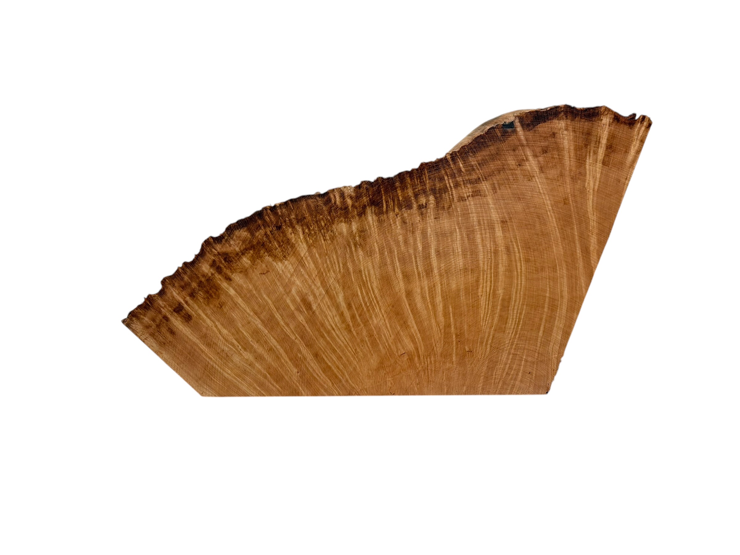 Briar #39