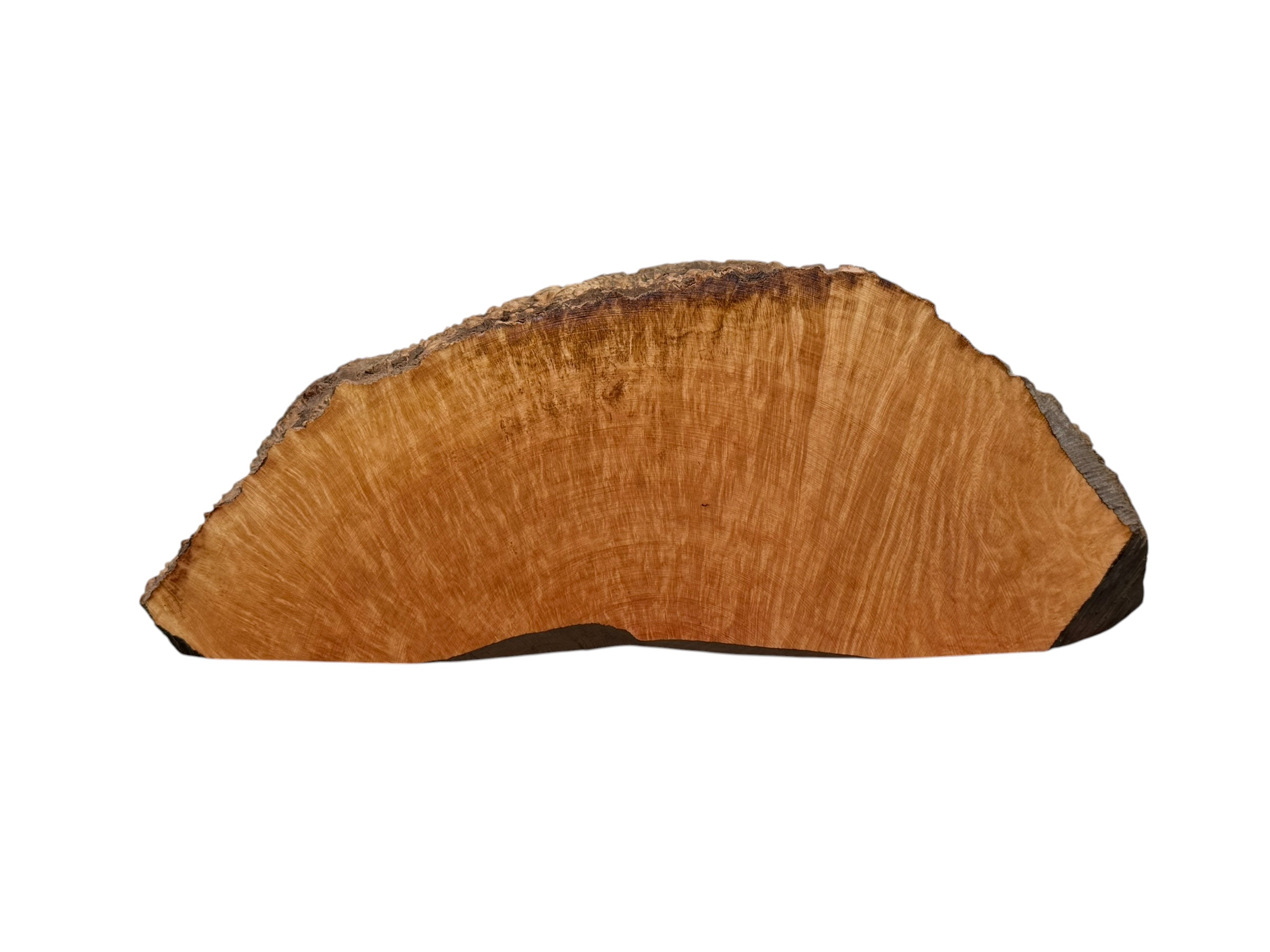 Briar #4