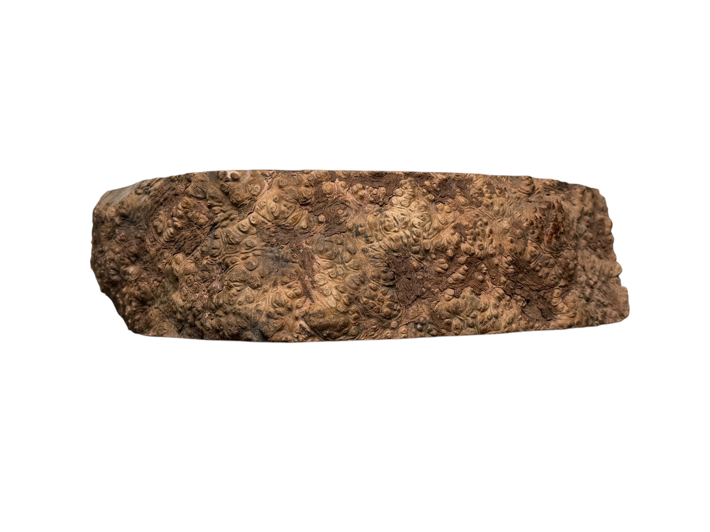 Briar #4 - Image 4