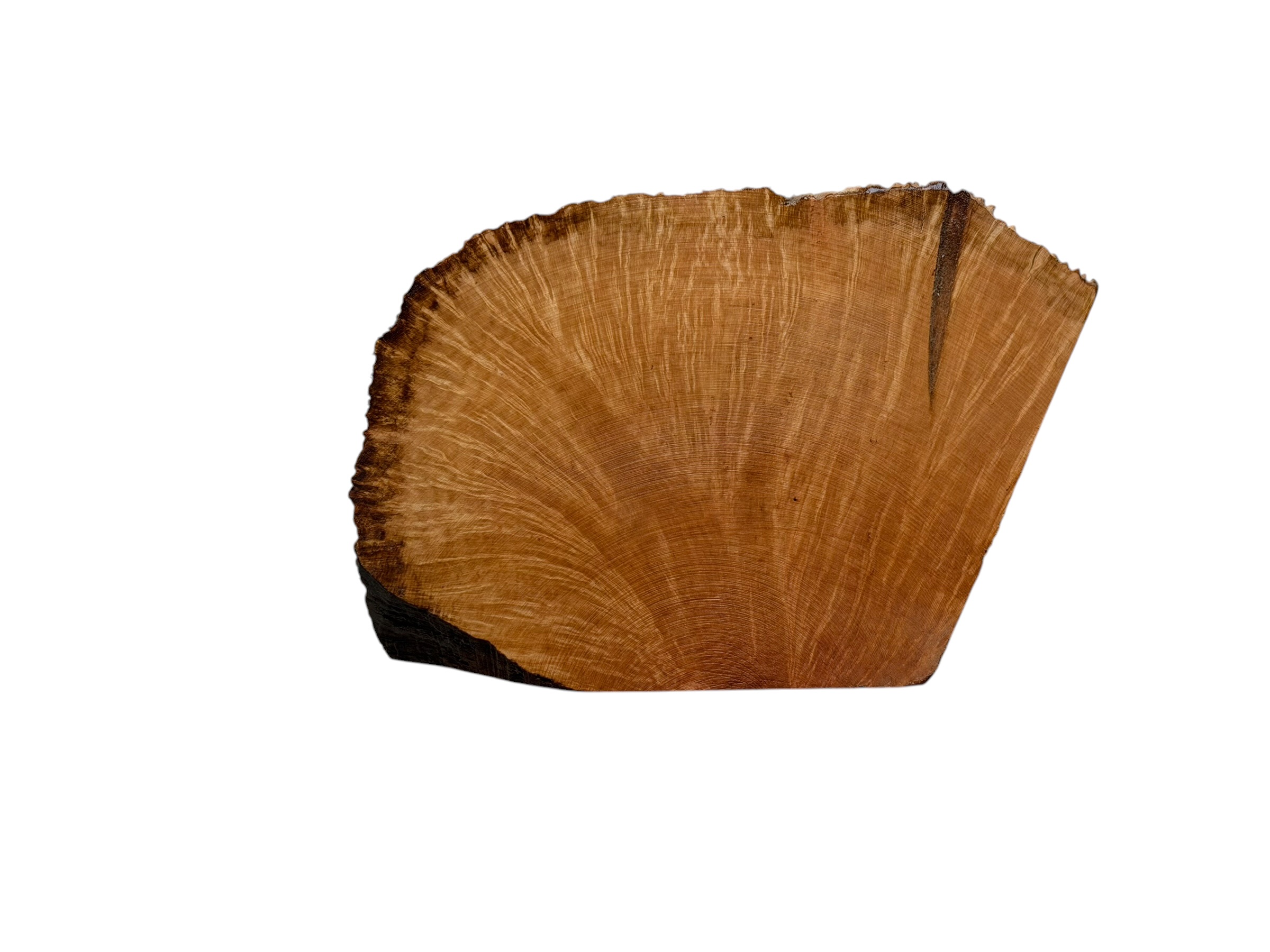 Briar #40