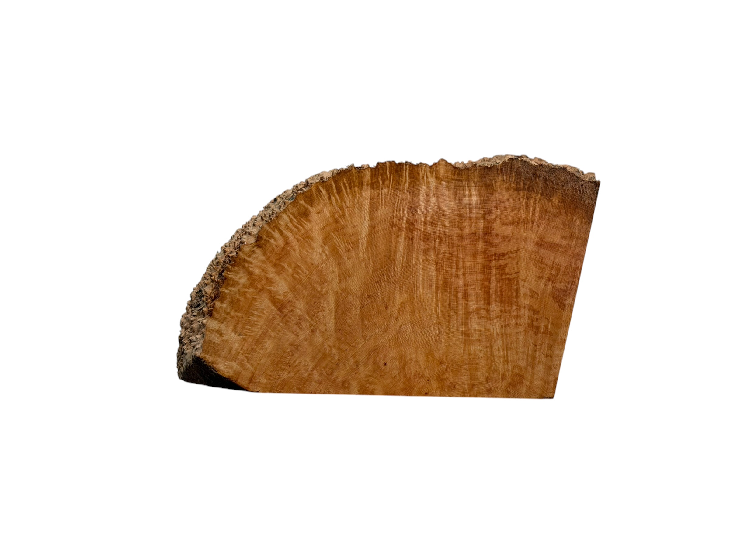 Briar #41