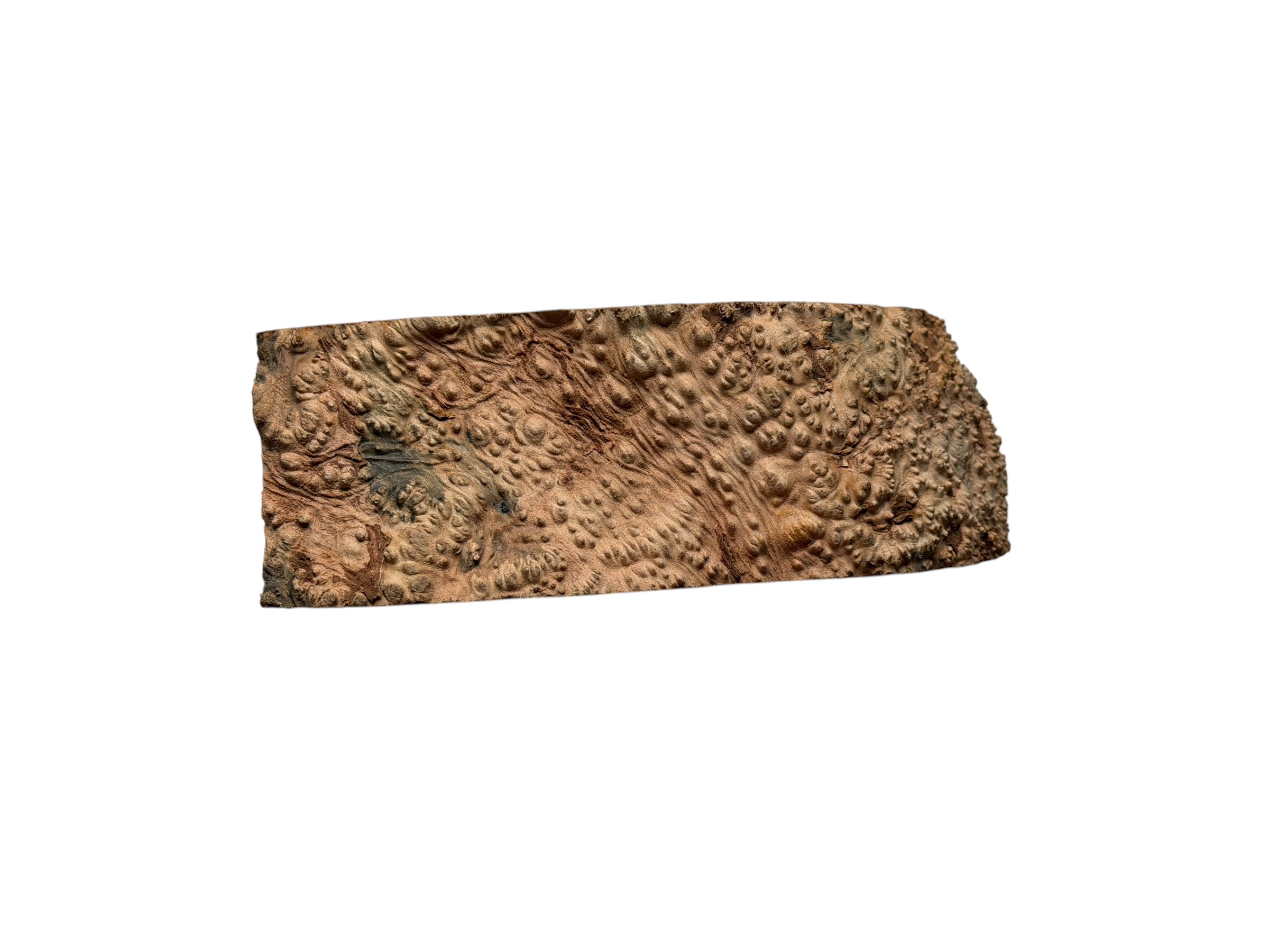 Briar #41 - Image 4