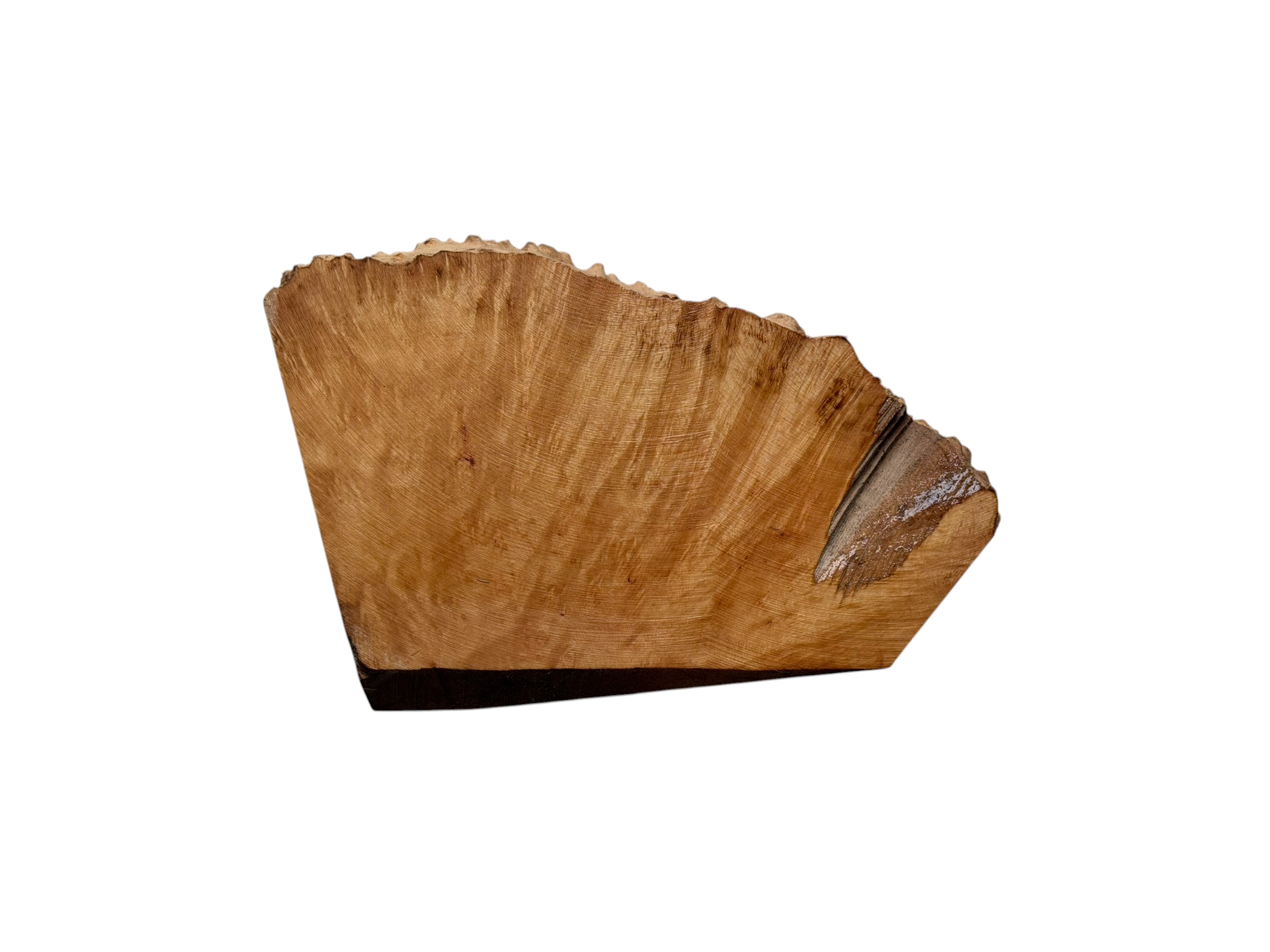 Briar #42 - Image 2