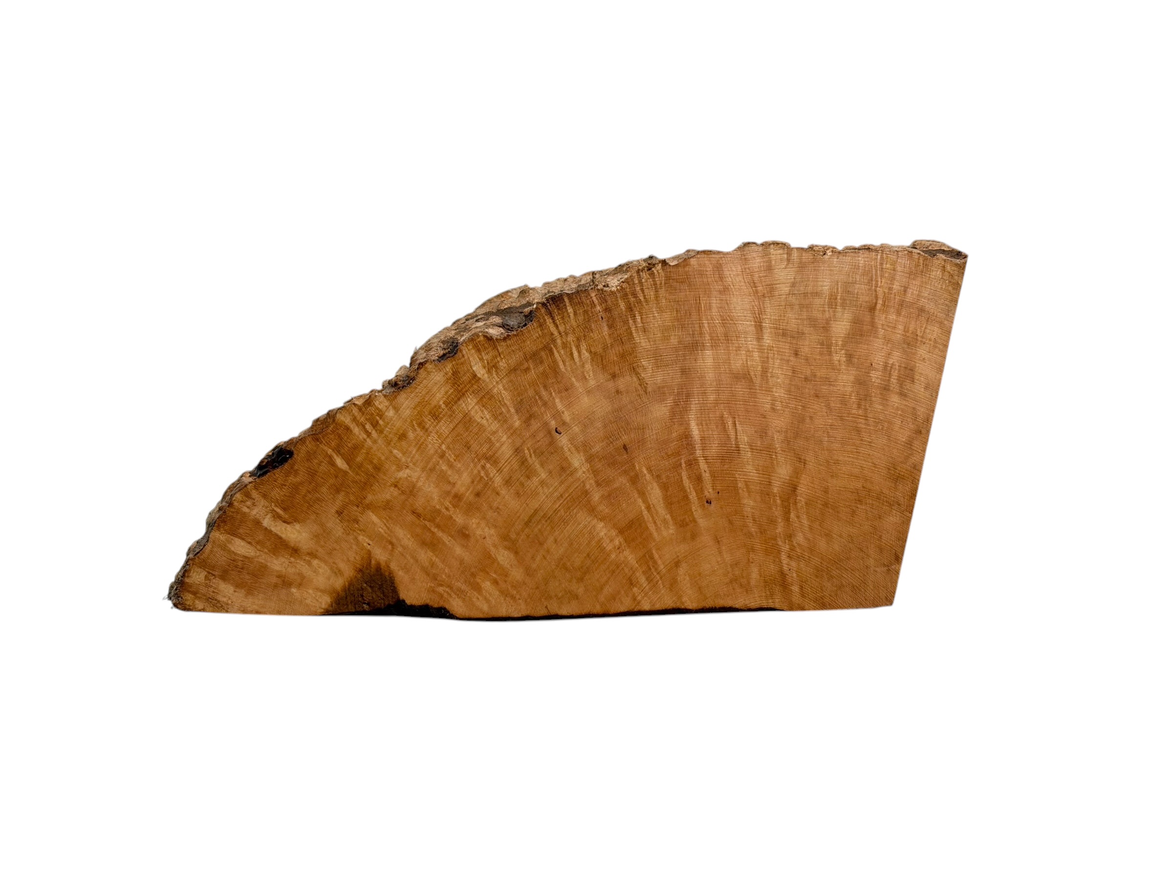 Briar #44