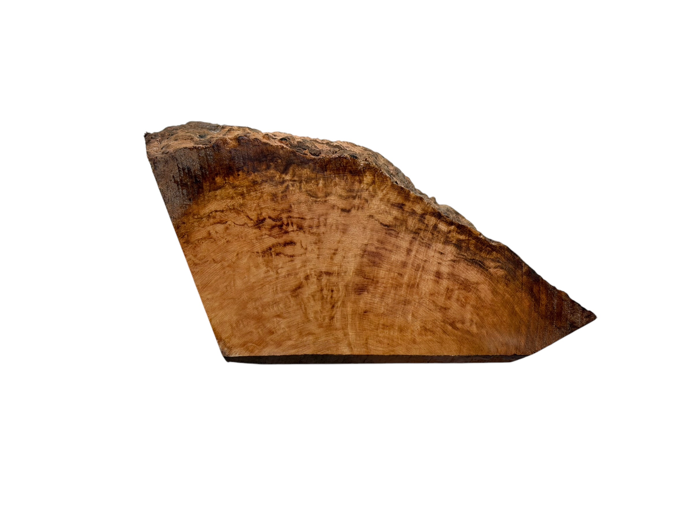 Briar #45