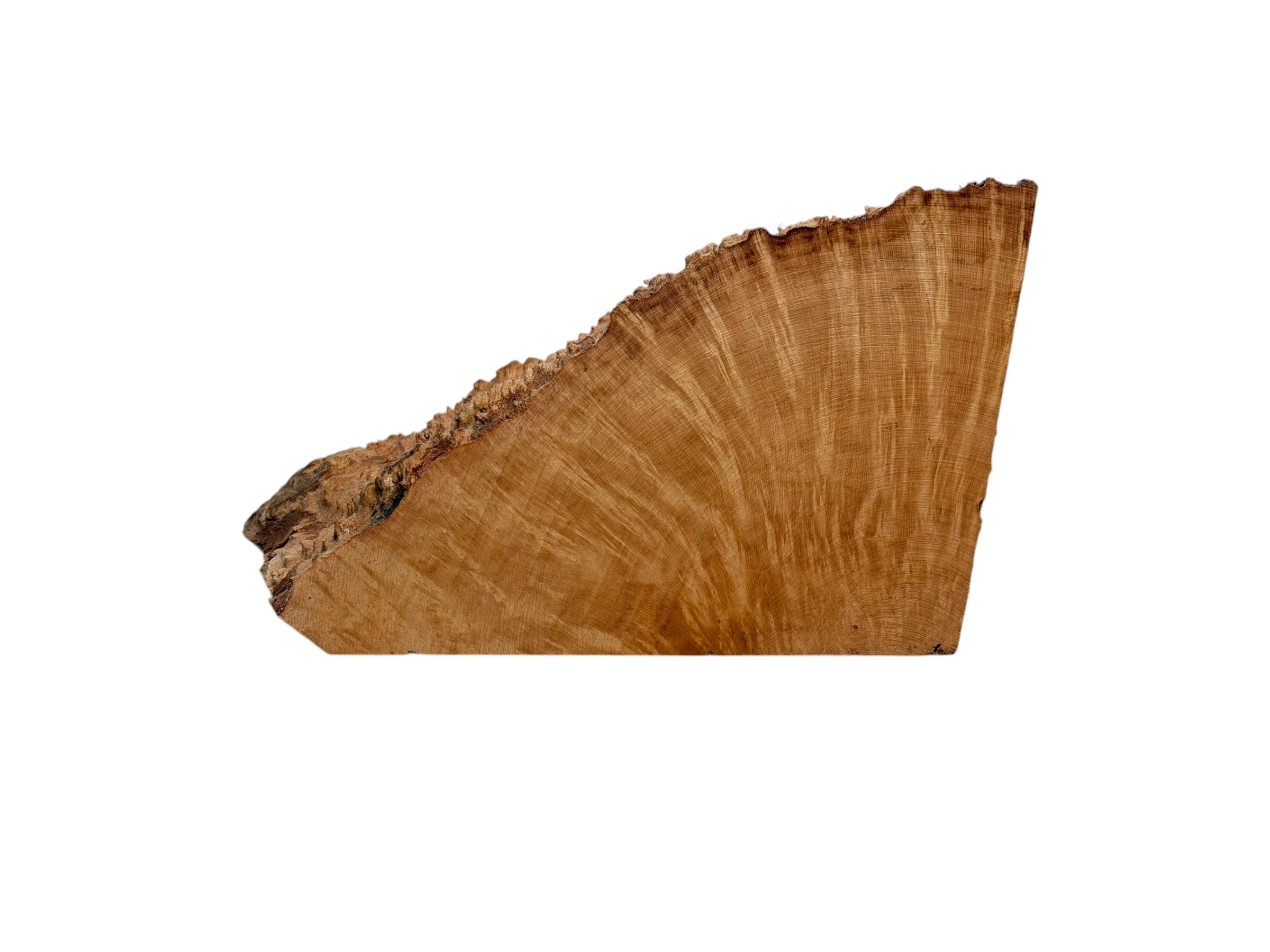 Briar #46