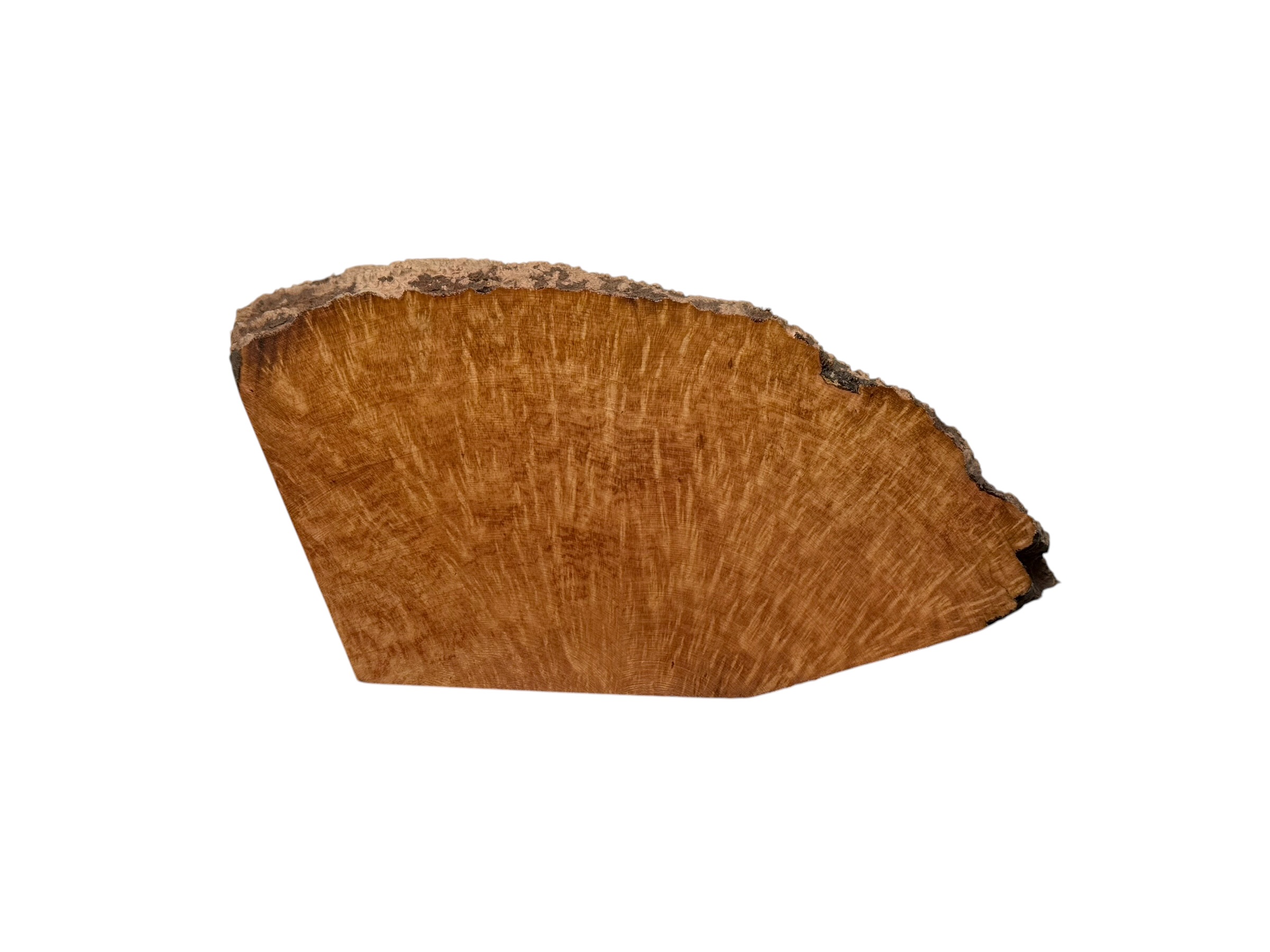 Briar #5