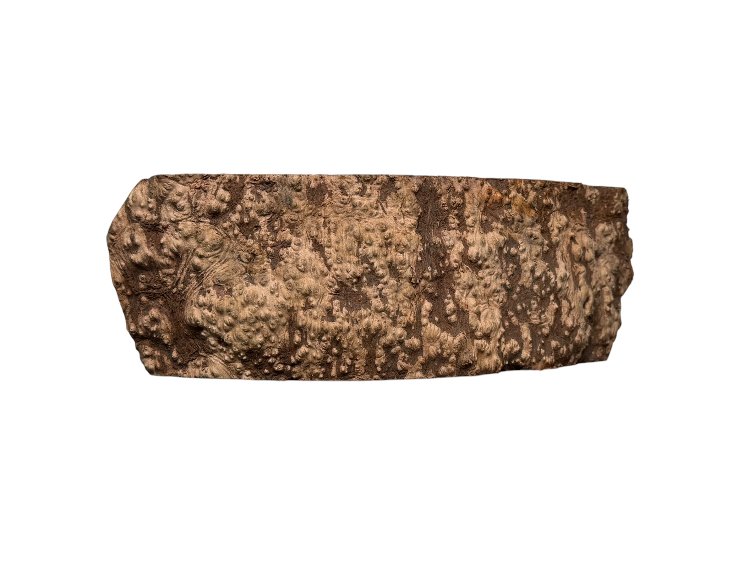 Briar #5 - Image 4