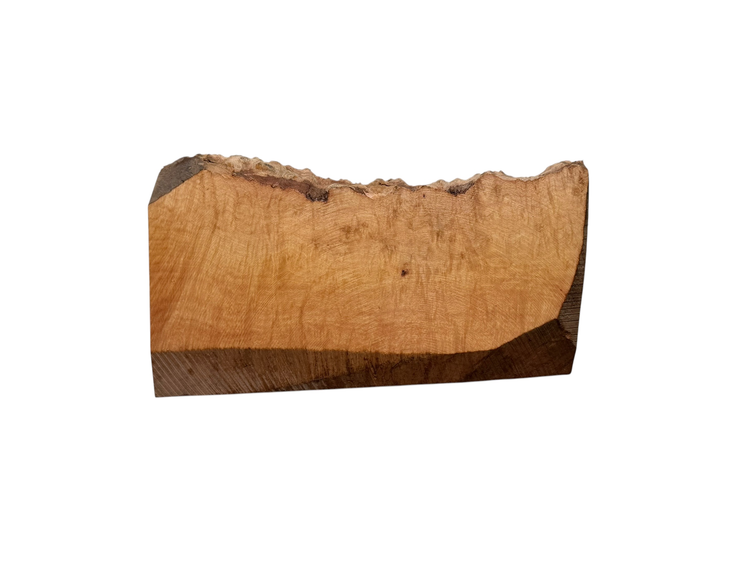 Briar #8