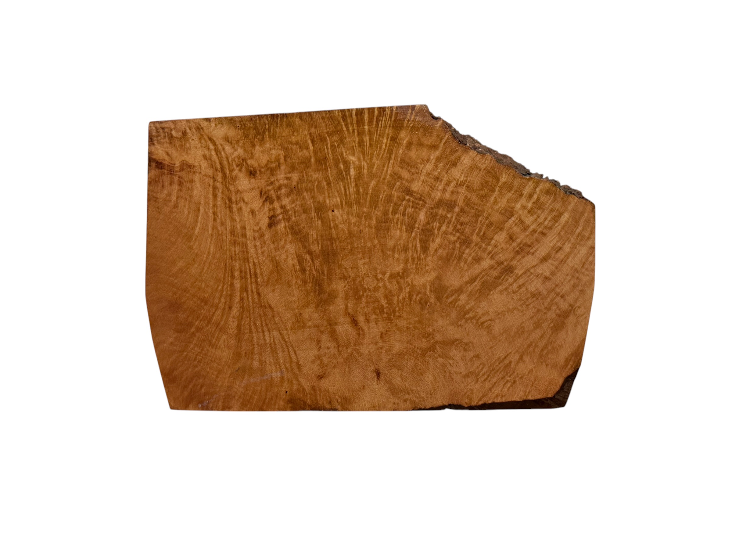 Briar #9