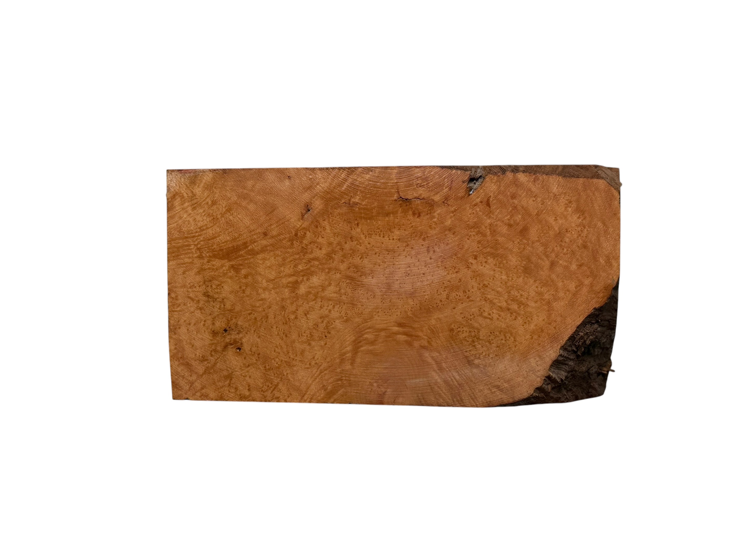Briar #9 - Image 3